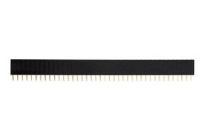 Connettore strip line femmina 1x40 pin
